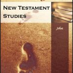New Testament Studies - John